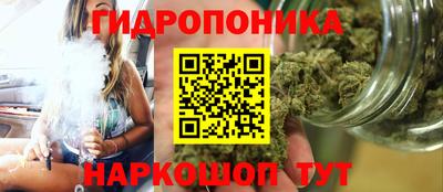 амф Краснознаменск