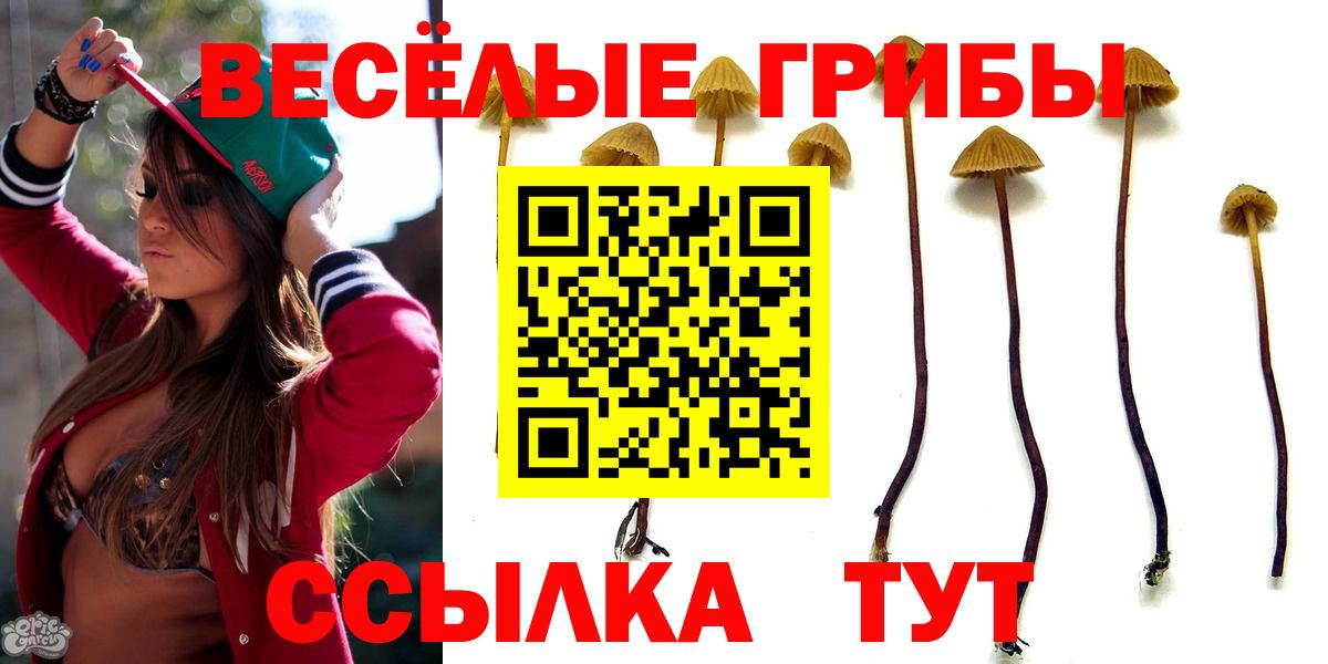 Галлюциногенные грибы GOLDEN TEACHER  даркнет сайт  Ишим  Вход с VPN 